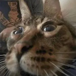 Meet your Posher, Caleb